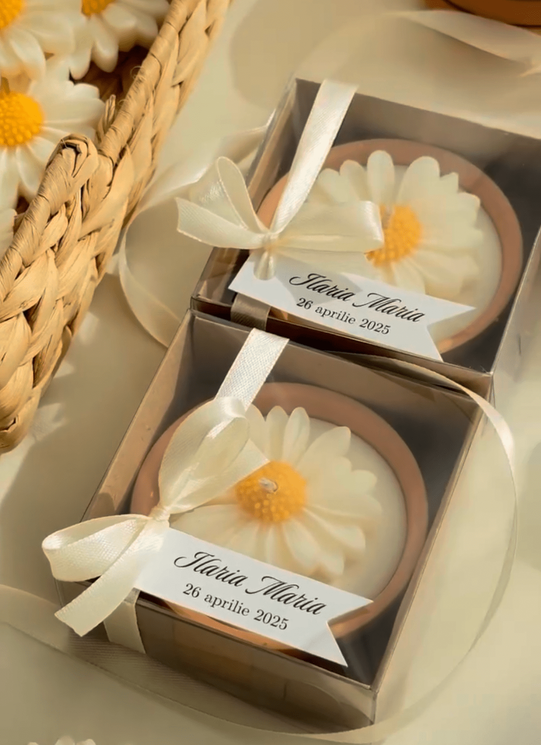 Margaretă în vas ceramic | Lumânări parfumate | Mărturii - Meltino Candles