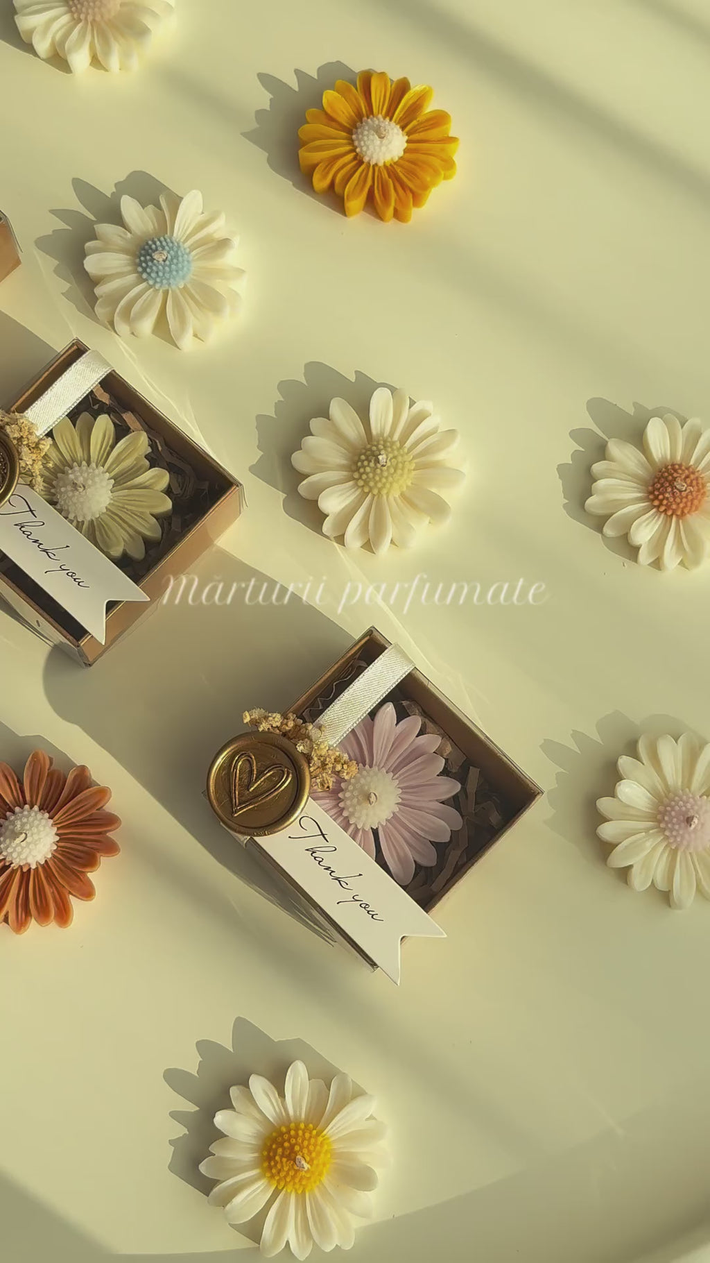 Margaretă în cutie kraft | Lumânări parfumate | Mărturii